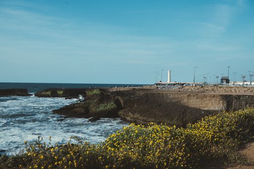 Free Beautiful coastal landscape with yellow flowers and lighthouse in the distance. Stock Photo