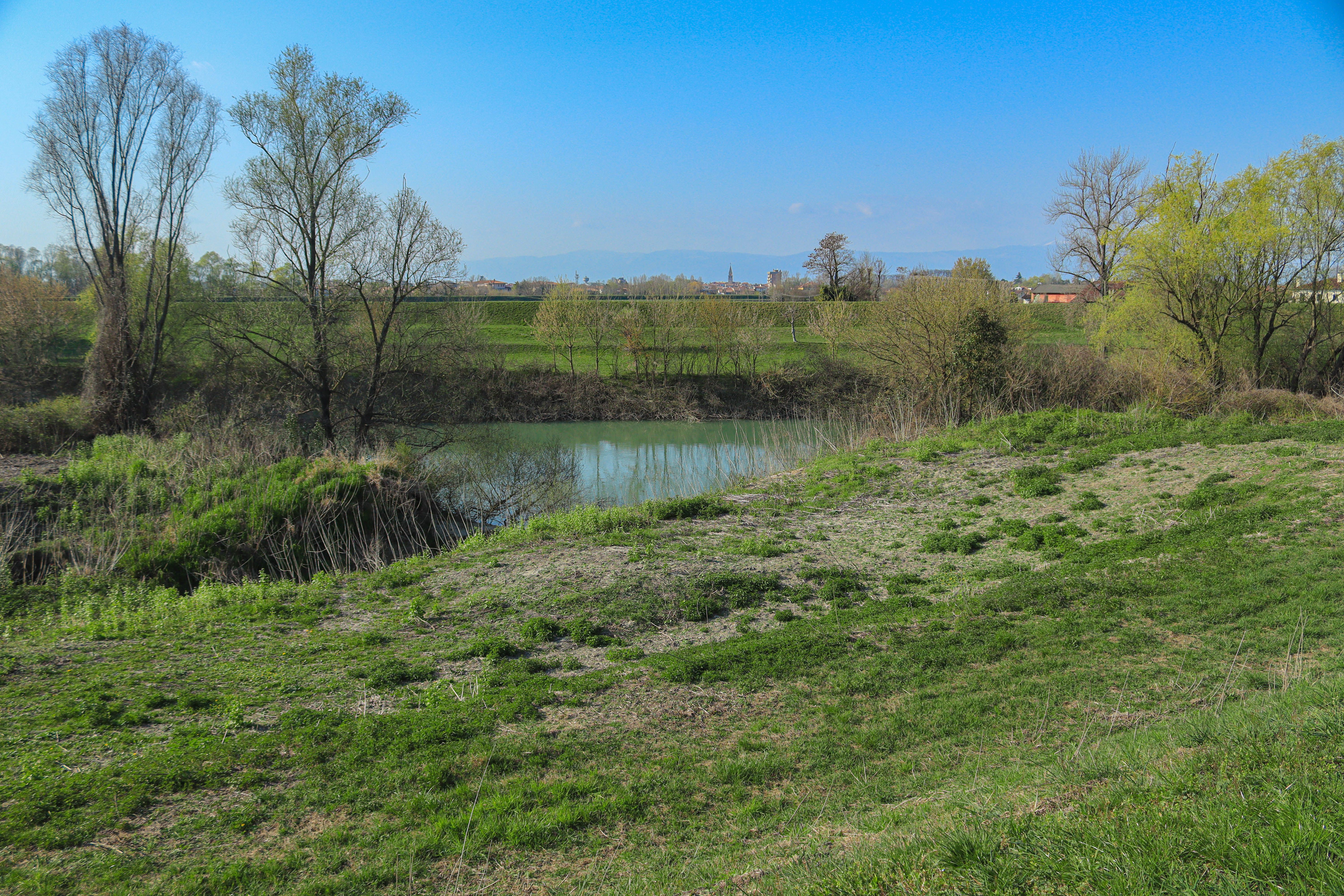Serene Rural Landscape with Pond and Vegetation · Free Stock Photo