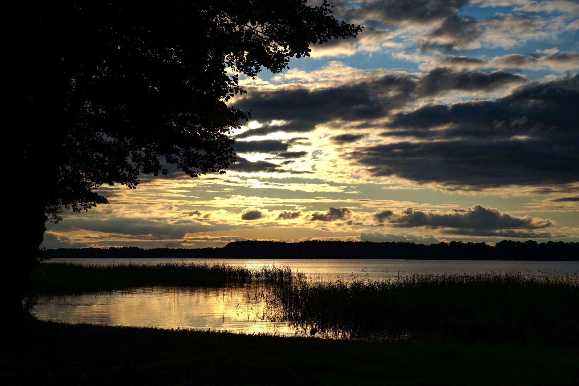 Captivating sunset over a tranquil lake in Lithuania with dramatic clouds and silhouette trees.