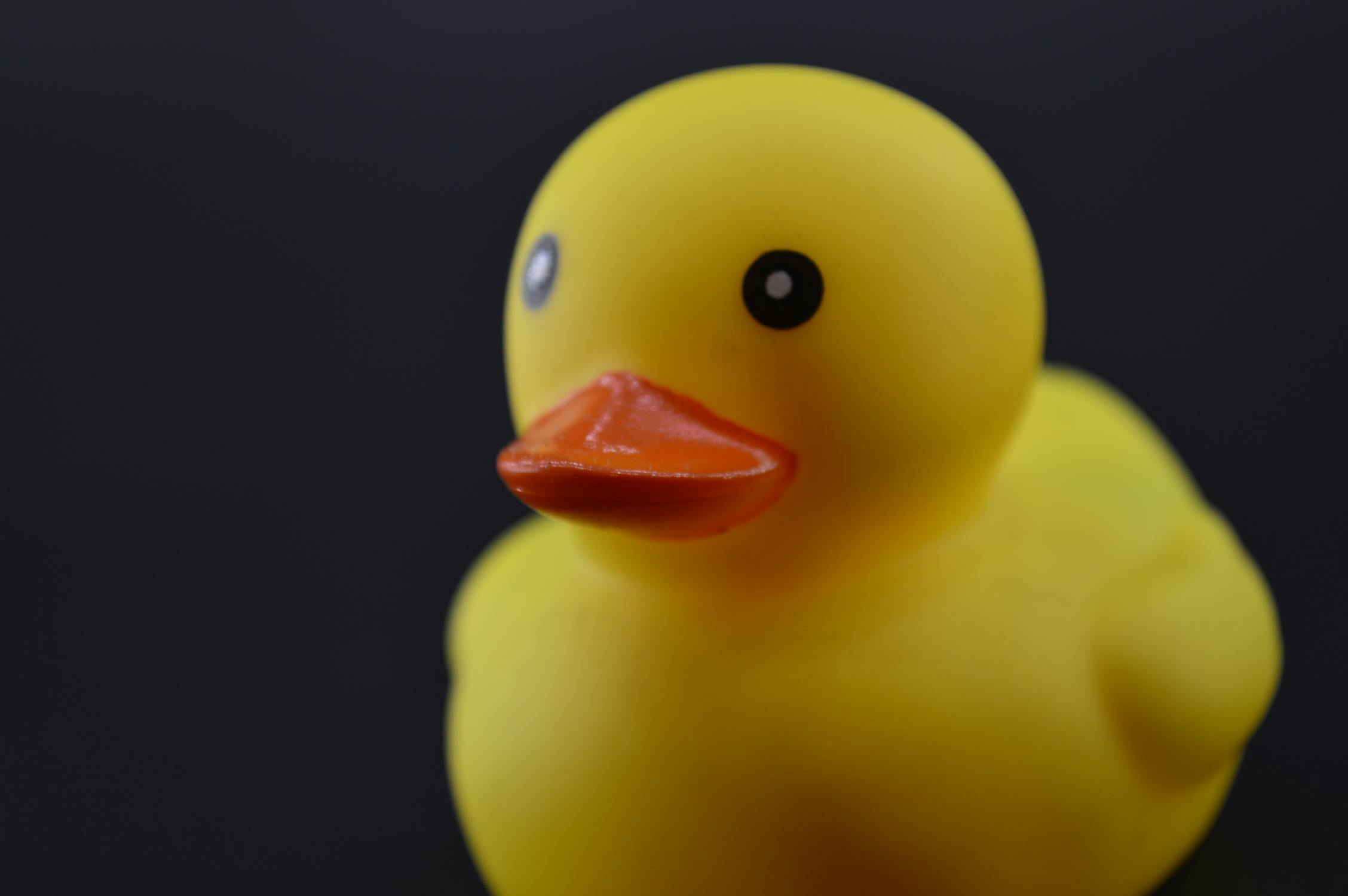 Close-up Photo of a Yellow Rubber Duck.
