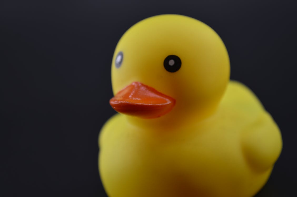 Free Close-up Photo of a Yellow Rubber Duck Stock Photo