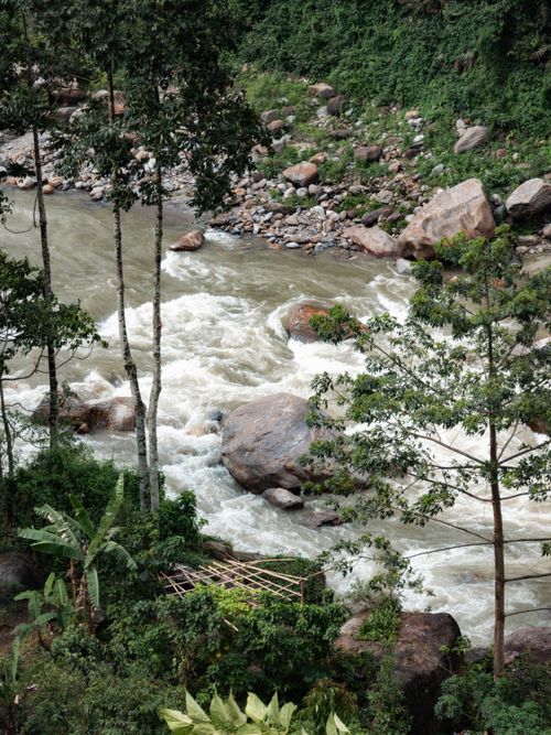 Free A vibrant river scene in a lush forest, showcasing roaring rapids and surrounding vegetation. Stock Photo