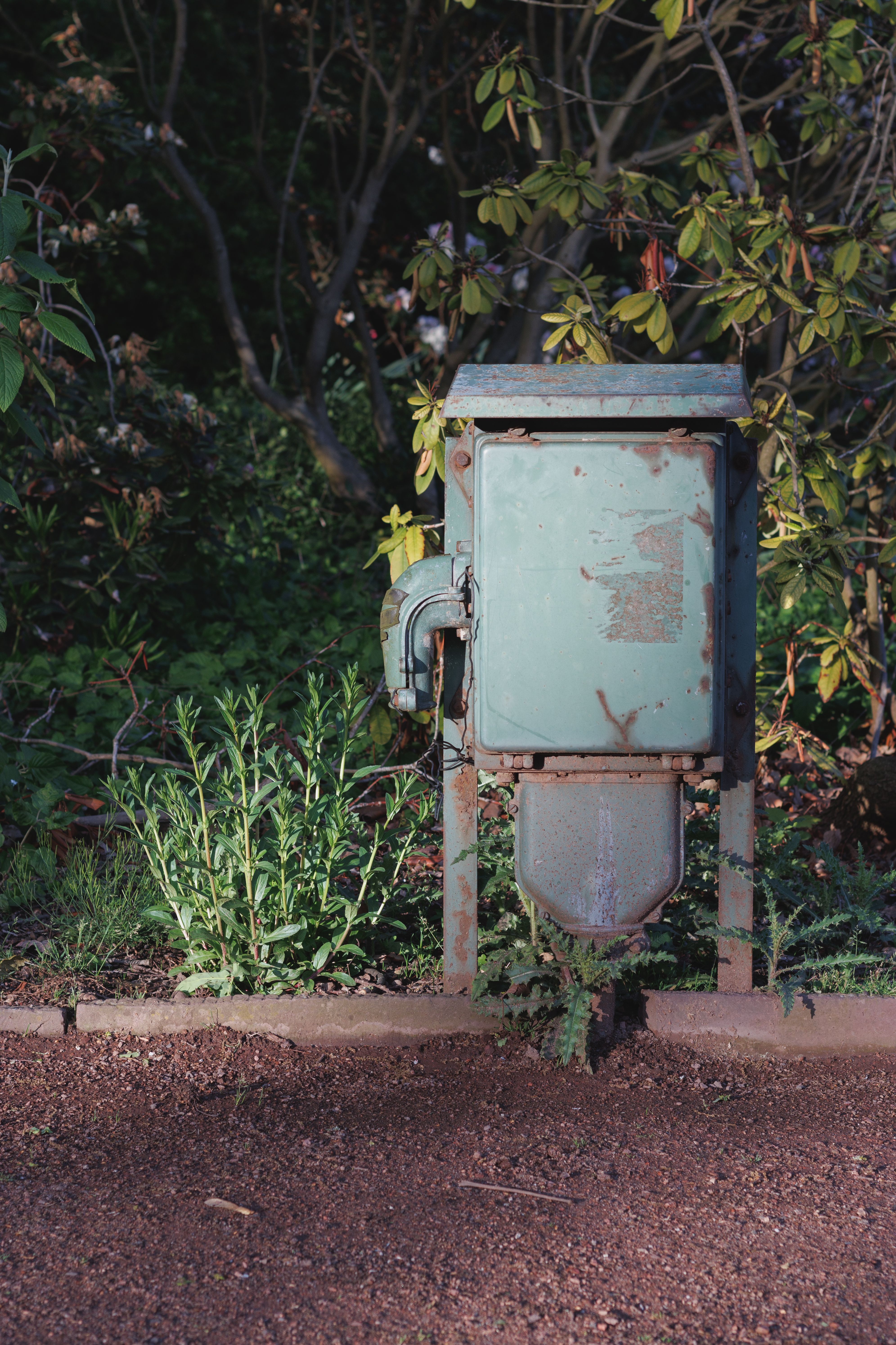 Garden Sockets