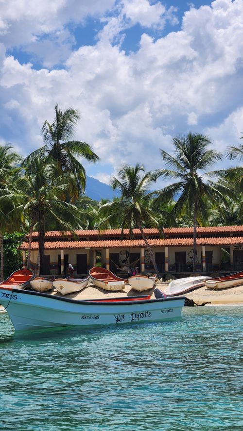Free Serene tropical beach with palm trees and boats on clear turquoise water under a blue sky. Stock Photo