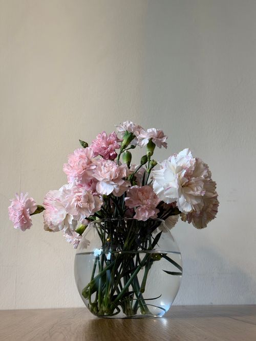 Free A clear glass vase filled with pink carnations elegantly placed on a wooden table, perfect for floral-themed decor. Stock Photo