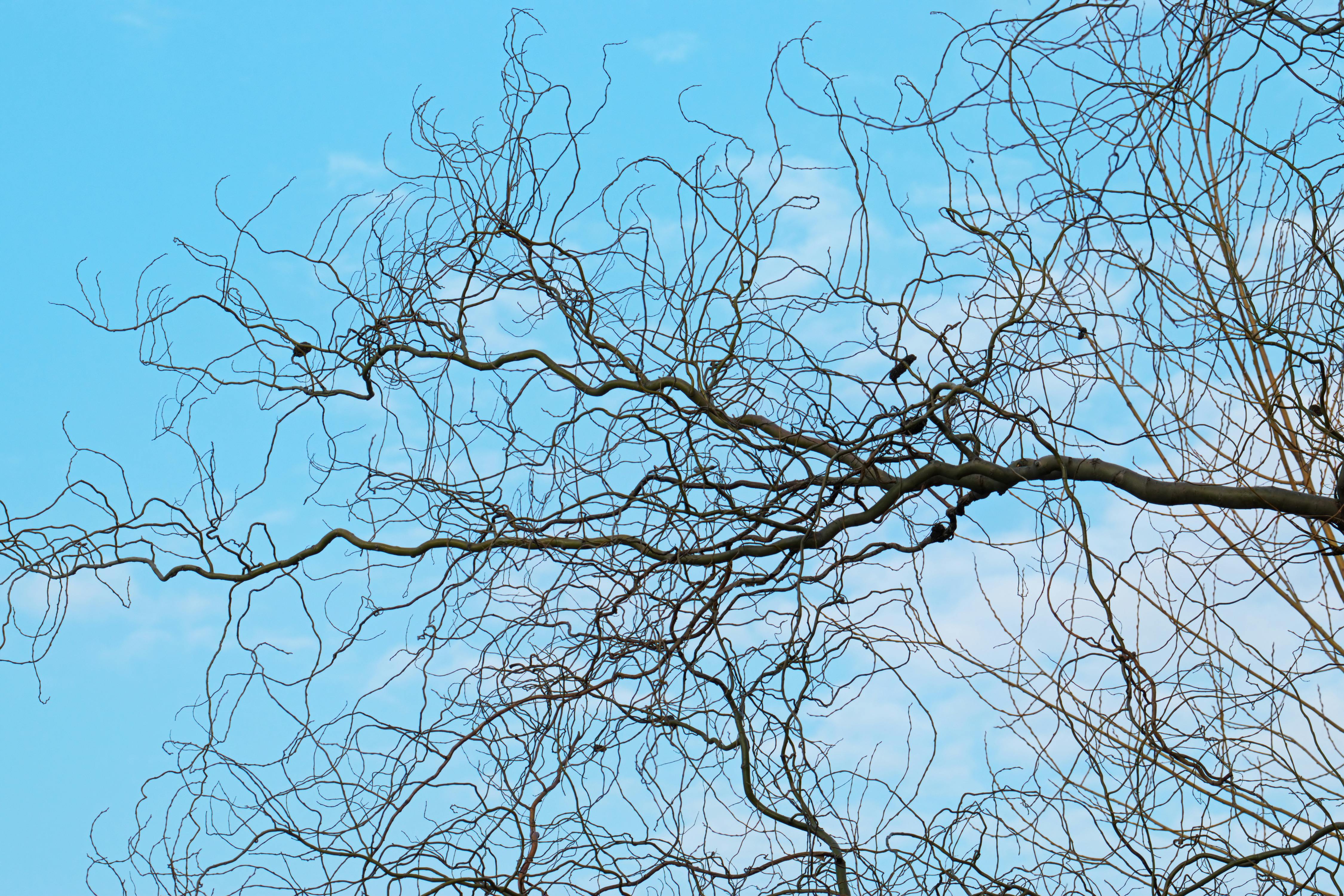 Overwhelmed person at work