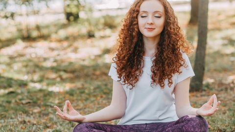 The Longevity Equation: Mitigating circadian phase alignment for Healthy Aging