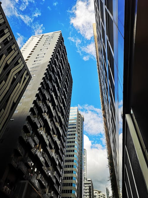 Free stock photo of building, tall buildings