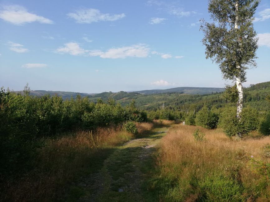 Horská turistická stezka v Jeseníkách