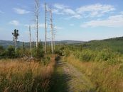 Explore a serene hiking trail through the lush Opawskie Mountains in Poland.
