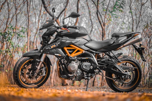 Black Motorcycle Parked in Forest