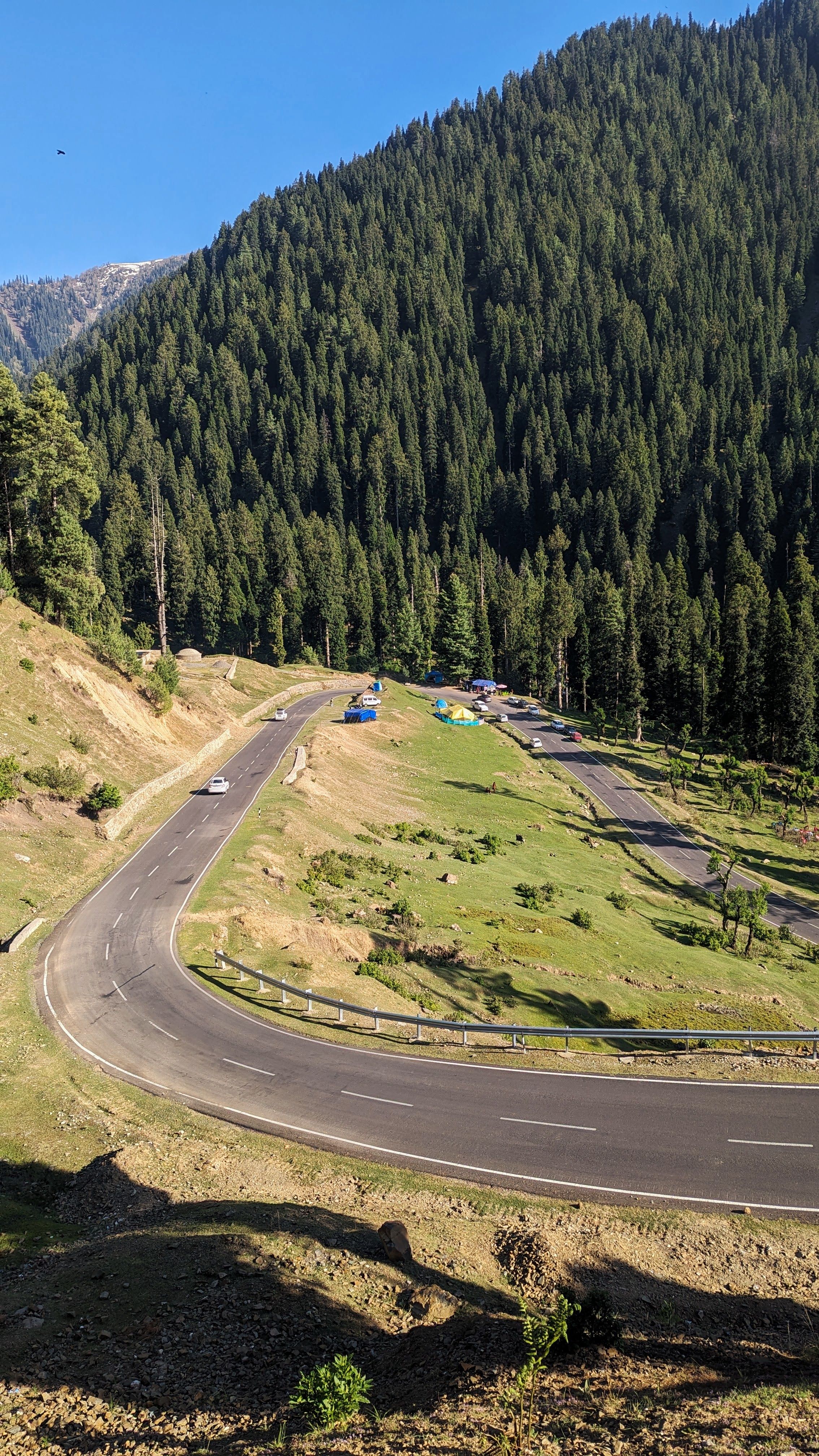 Scenic Forest Road in Mountain Landscape · Free Stock Photo