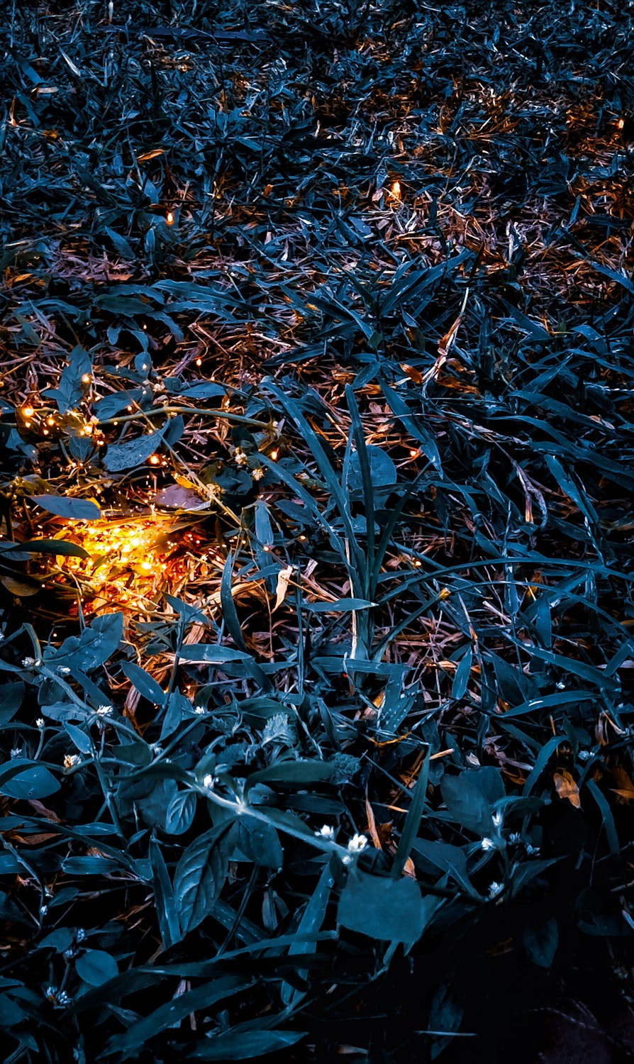 제로 웨이스트 샵에서 리필 용기를 사용하는 모습