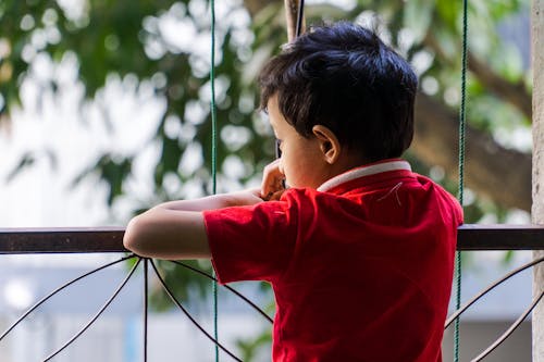 Free stock photo of asian boy, asian children, boy