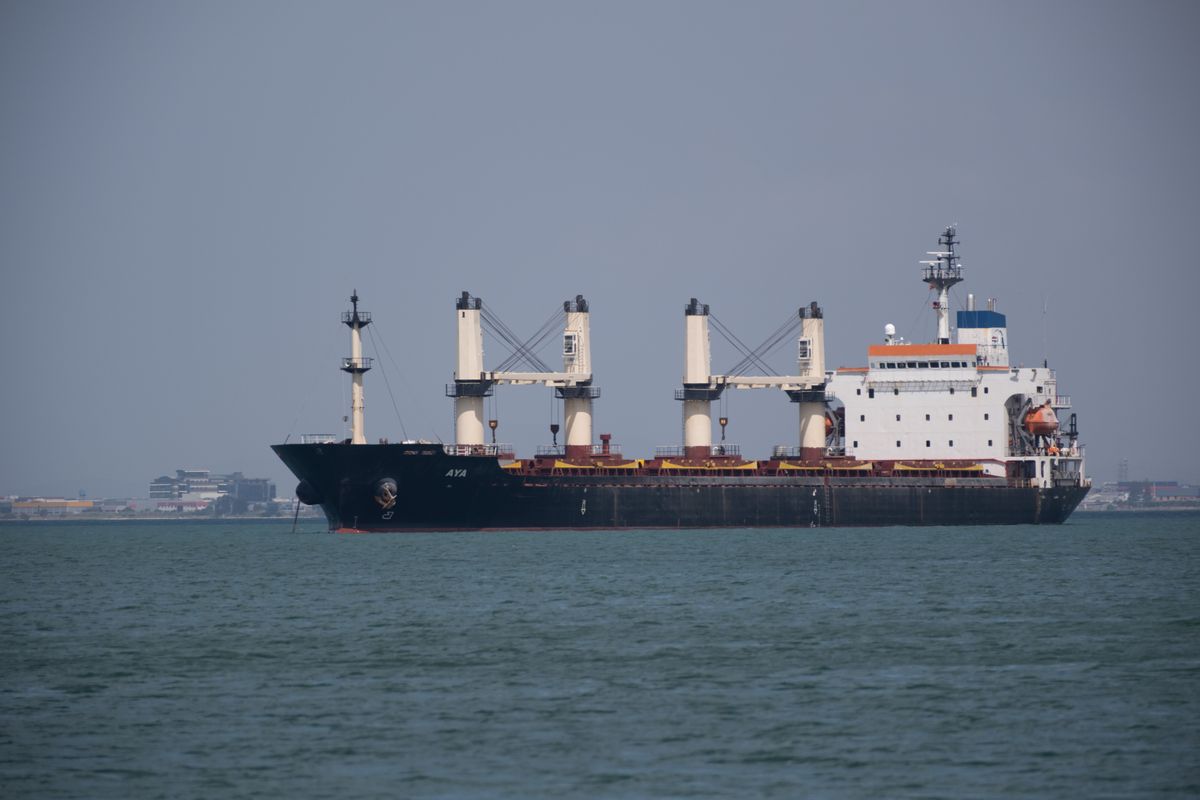 Chartered bulk cargo vessel under way at sea