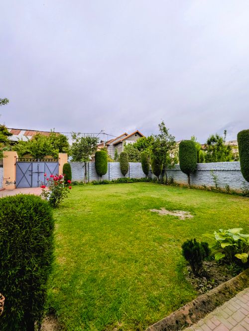Free A serene backyard garden with green grass, hedge landscaping, and floral touches. Stock Photo