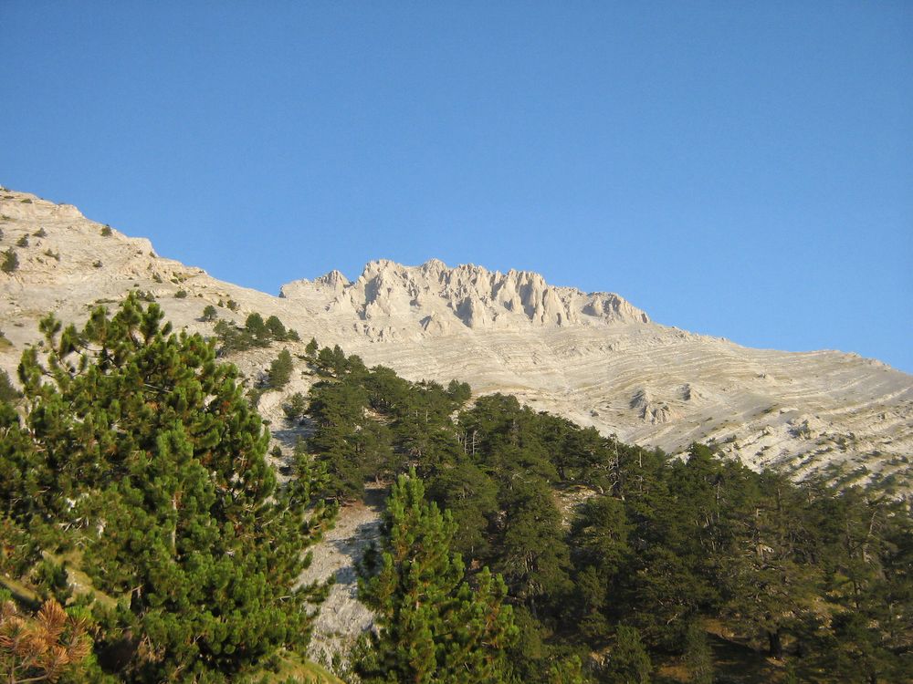Muntele Olimp din Grecia, cu pante împădurite verzi sub cerul senin