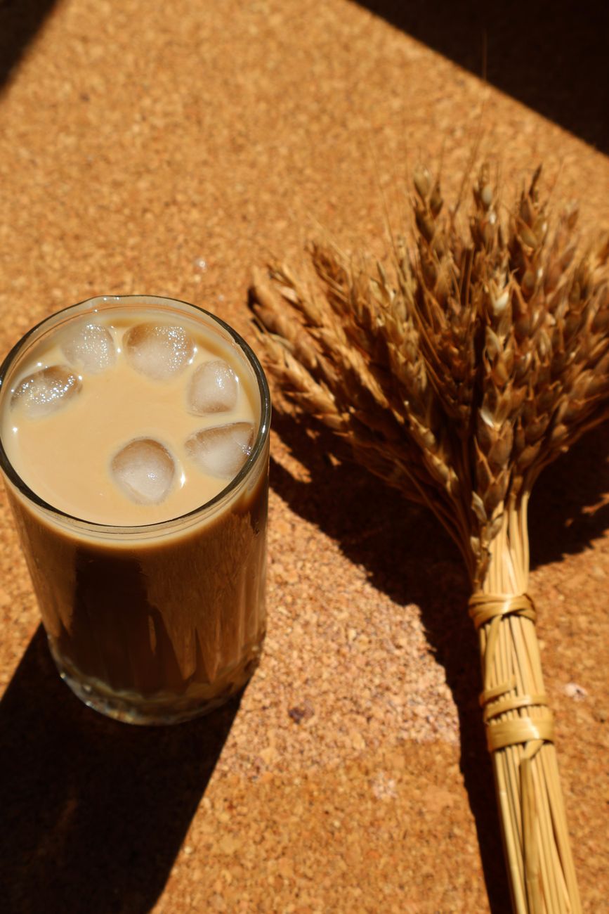 Healthy Iced Coffee for Pre-Workout: 5-Minute Recipe 2024 Pinterest