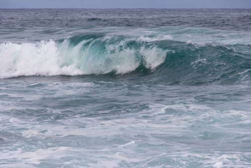 Free A powerful ocean wave crashes with energy and movement, showcasing the beauty of the sea. Stock Photo