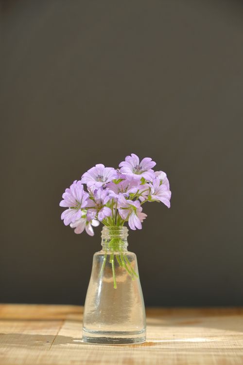 Free A bouquet of purple flowers elegantly arranged in a clear glass vase on a wooden surface. Stock Photo
