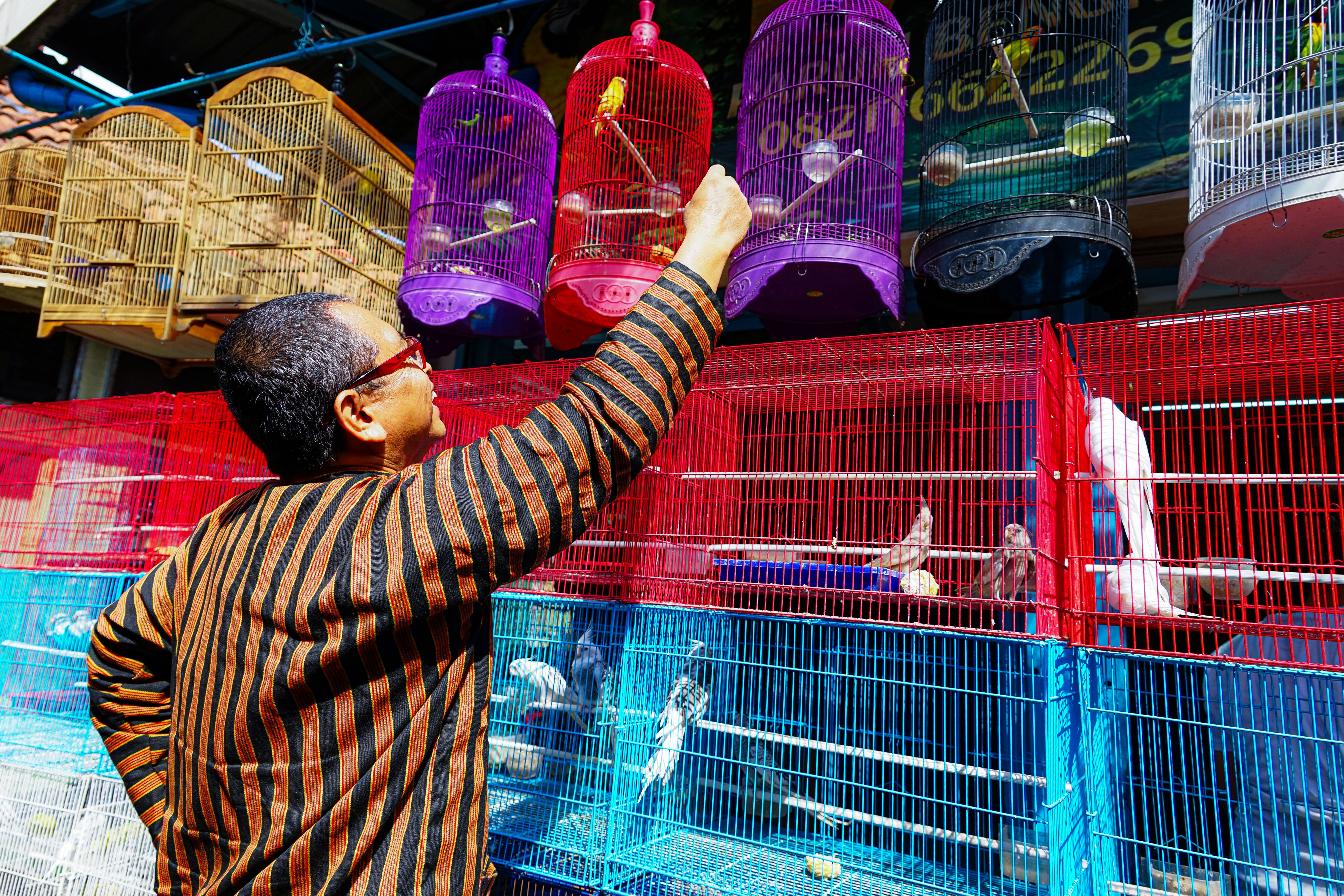 A man wearing traditional attire feeds birds in colorful cages at an outdoor Indonesian market.