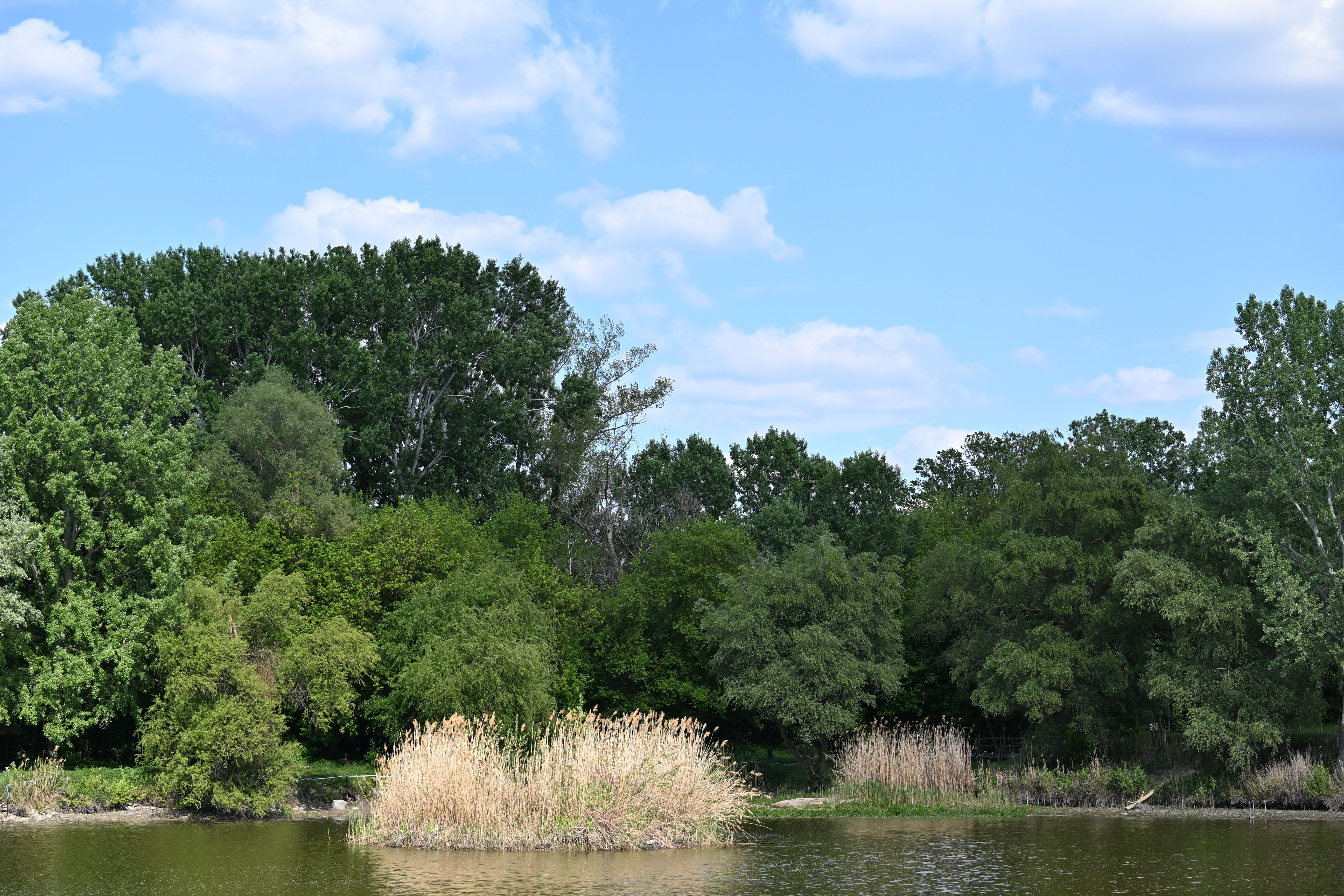 Reed Road Water Park in high summer