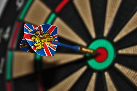 Blue Brown Dart on Red Green Black Dartboard