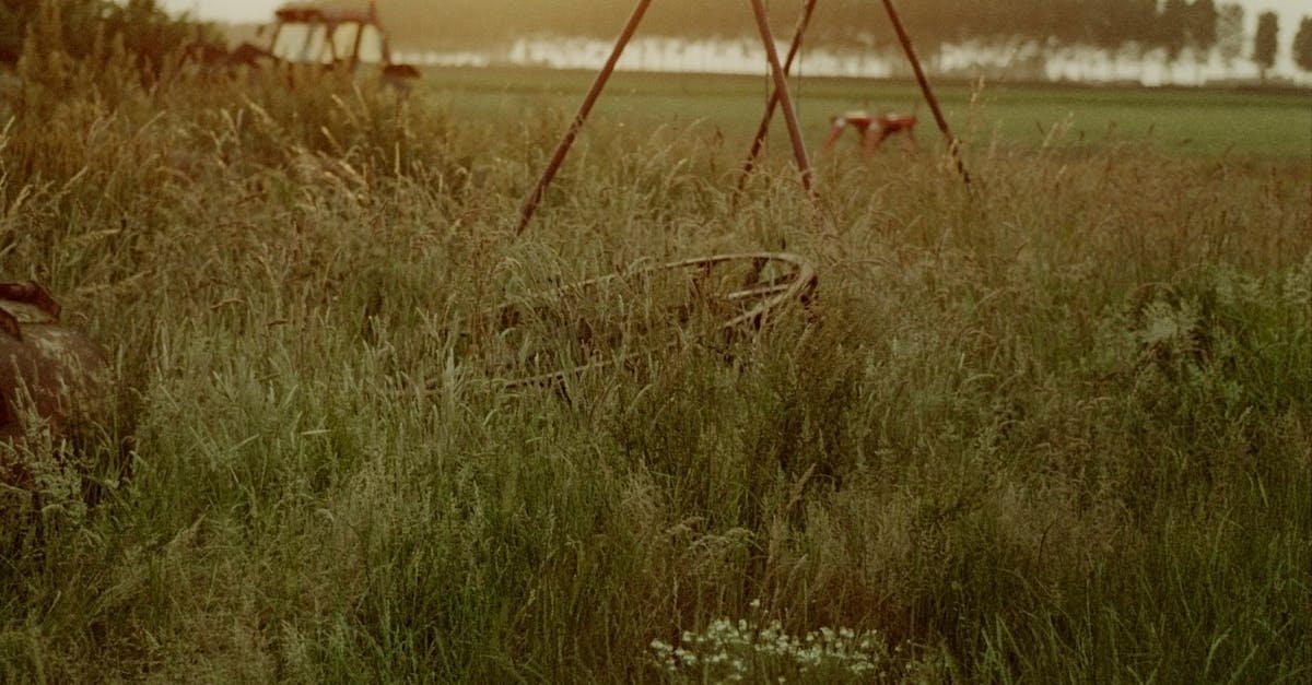 Free stock photo of abandoned, agriculture, bucolic