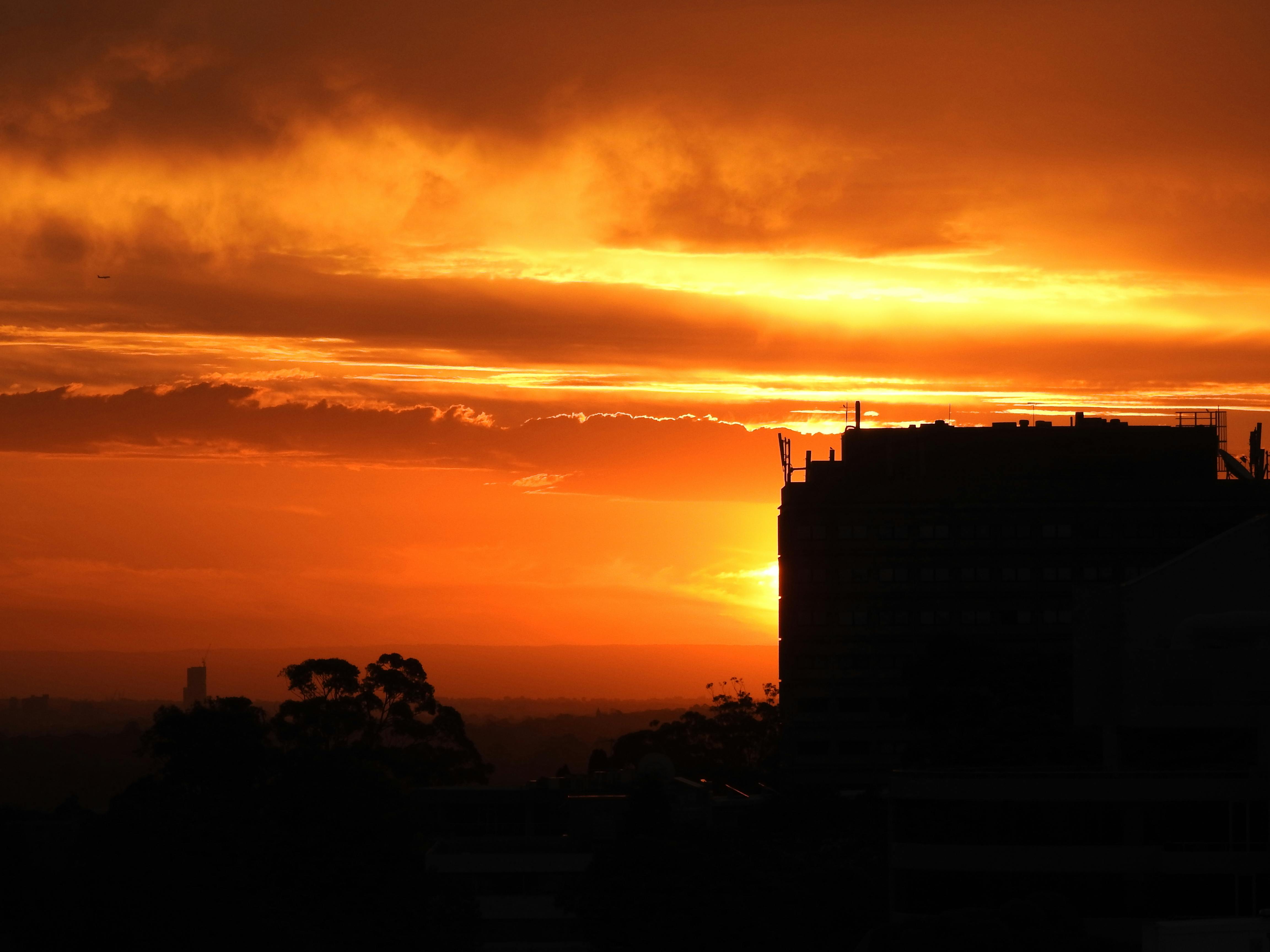 Foto de stock gratuita sobre cielo naranja, puesta de sol