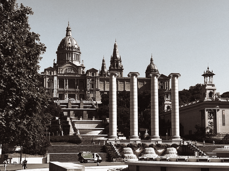 montjuic park dog