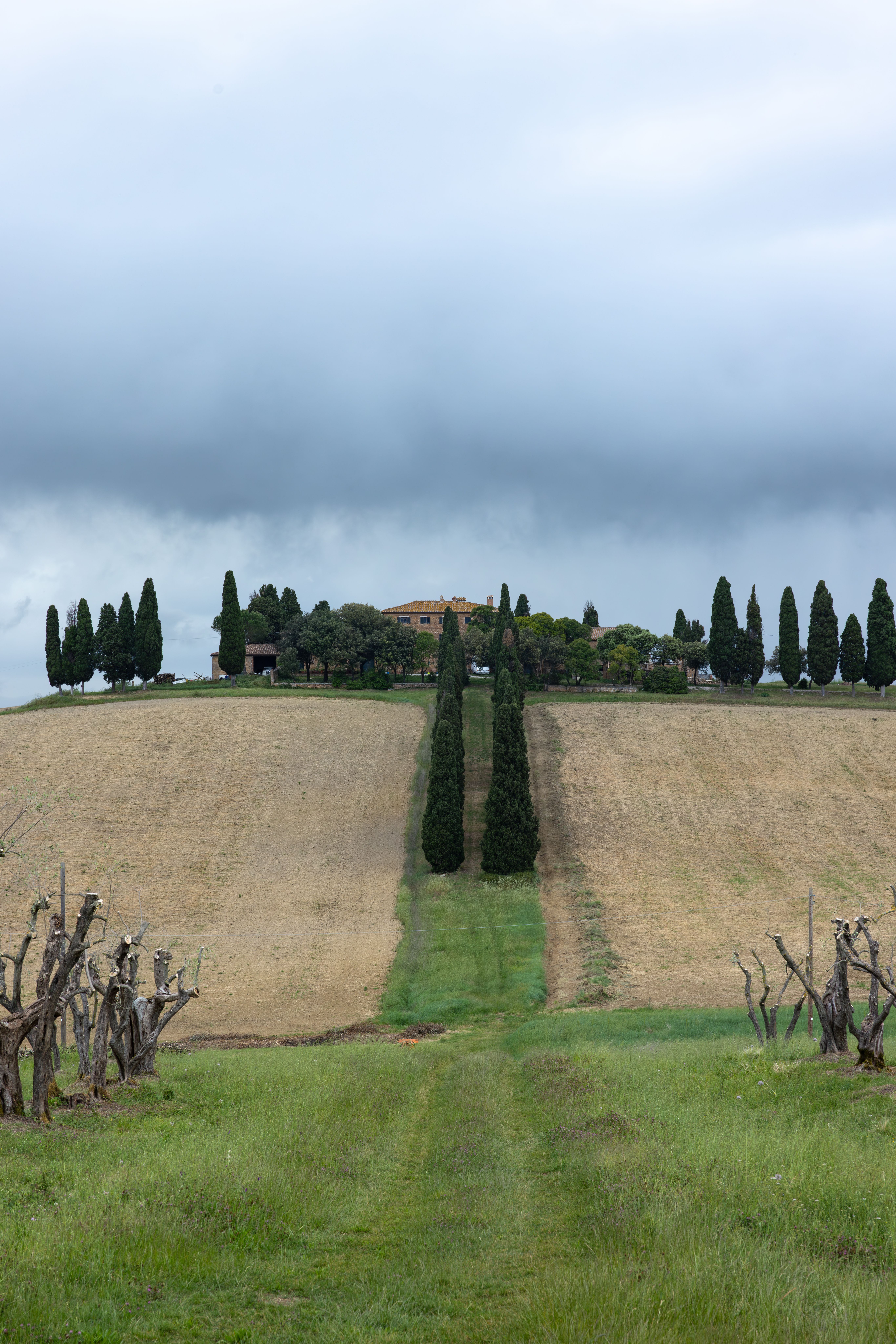 Sunset Over Rolling Tuscan Hills and Cypress Trees · Free Stock Photo