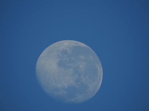 Free stock photo of moon in daylight Stock Photo
