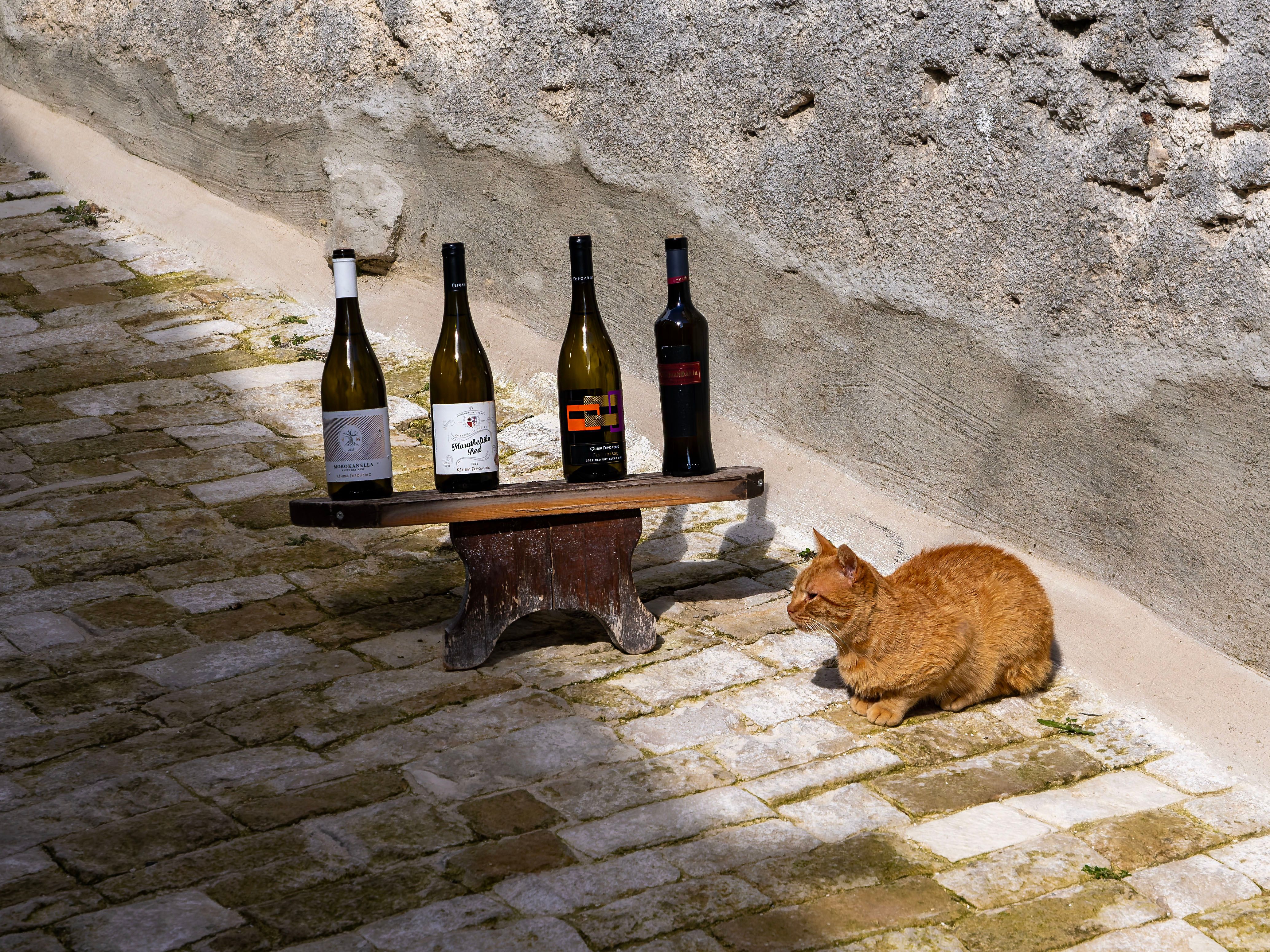 Wet cobbled lane and stone houses in a Cyprus wine village under winter cloud