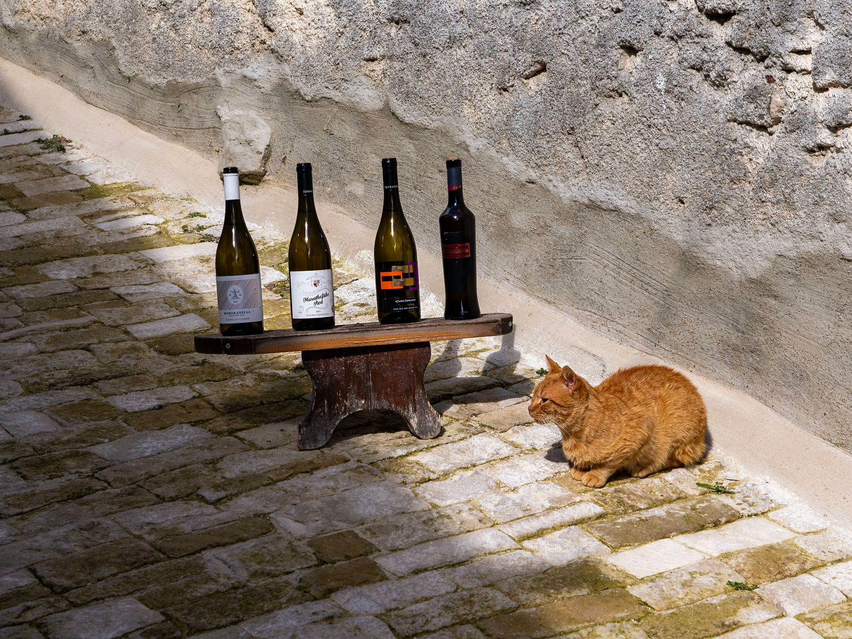 Wet cobbled lane and stone houses in a Cyprus wine village under winter cloud