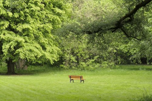 Free A peaceful scene of an empty bench amidst vibrant trees in a Marburg park. Stock Photo