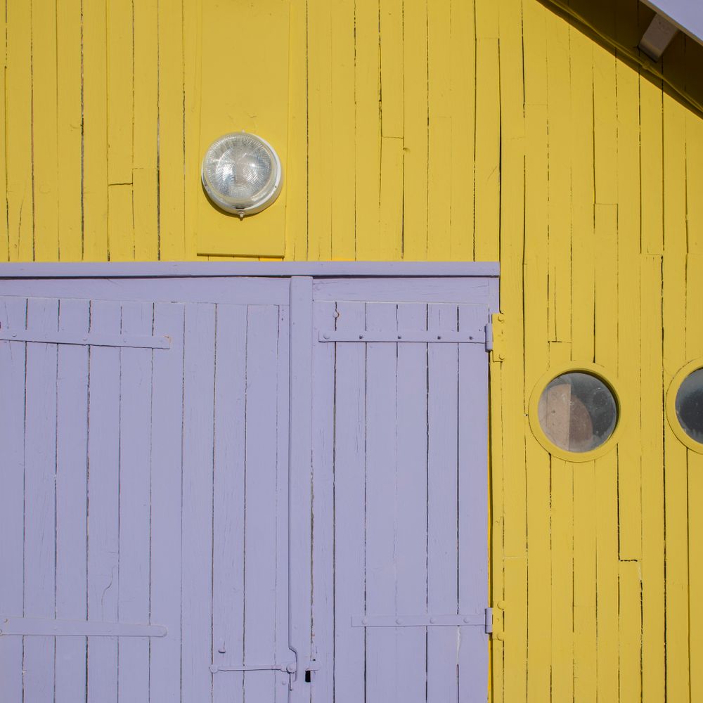 Fence and Decking Painting in Feltham — walls rolled to an even, flat finish