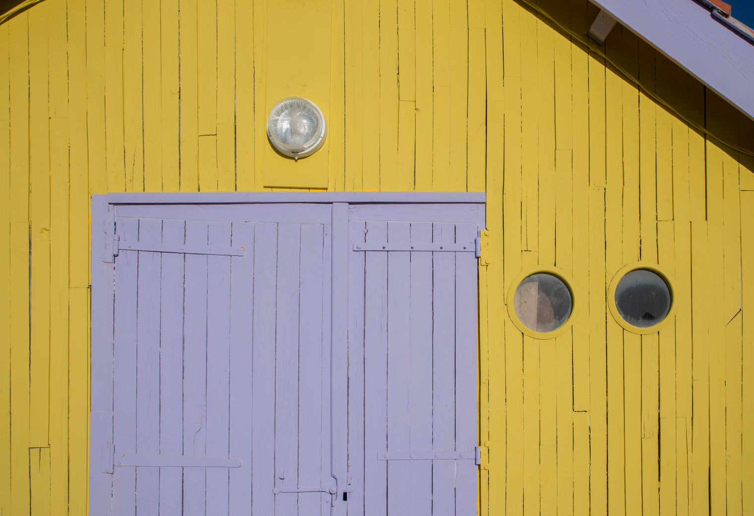 Fence and Decking Painting in Hackney Central — walls rolled to an even, flat finish