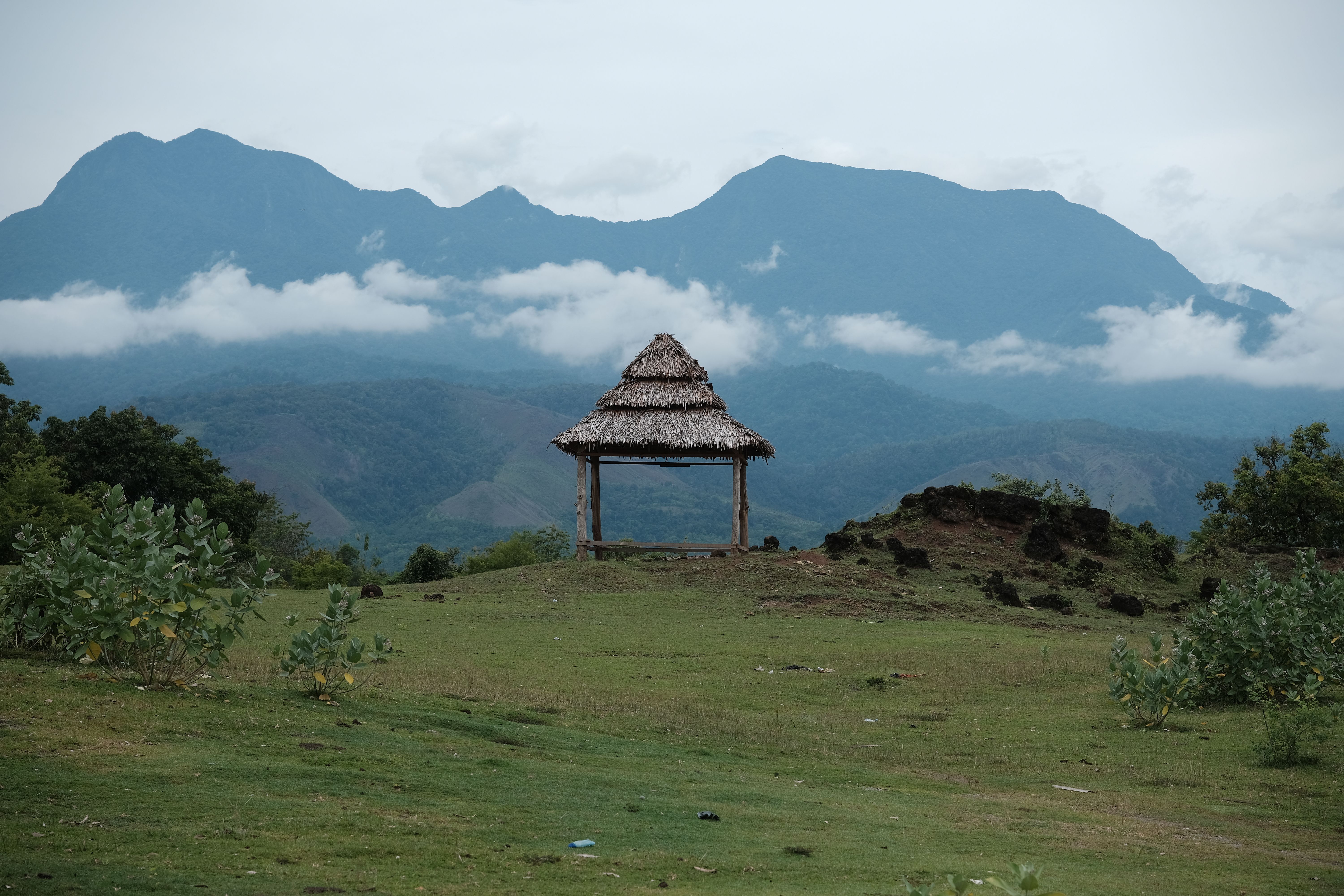 Jantho Eco-Trek: Menyelami Jejak Konservasi Alam yang Berkelanjutan