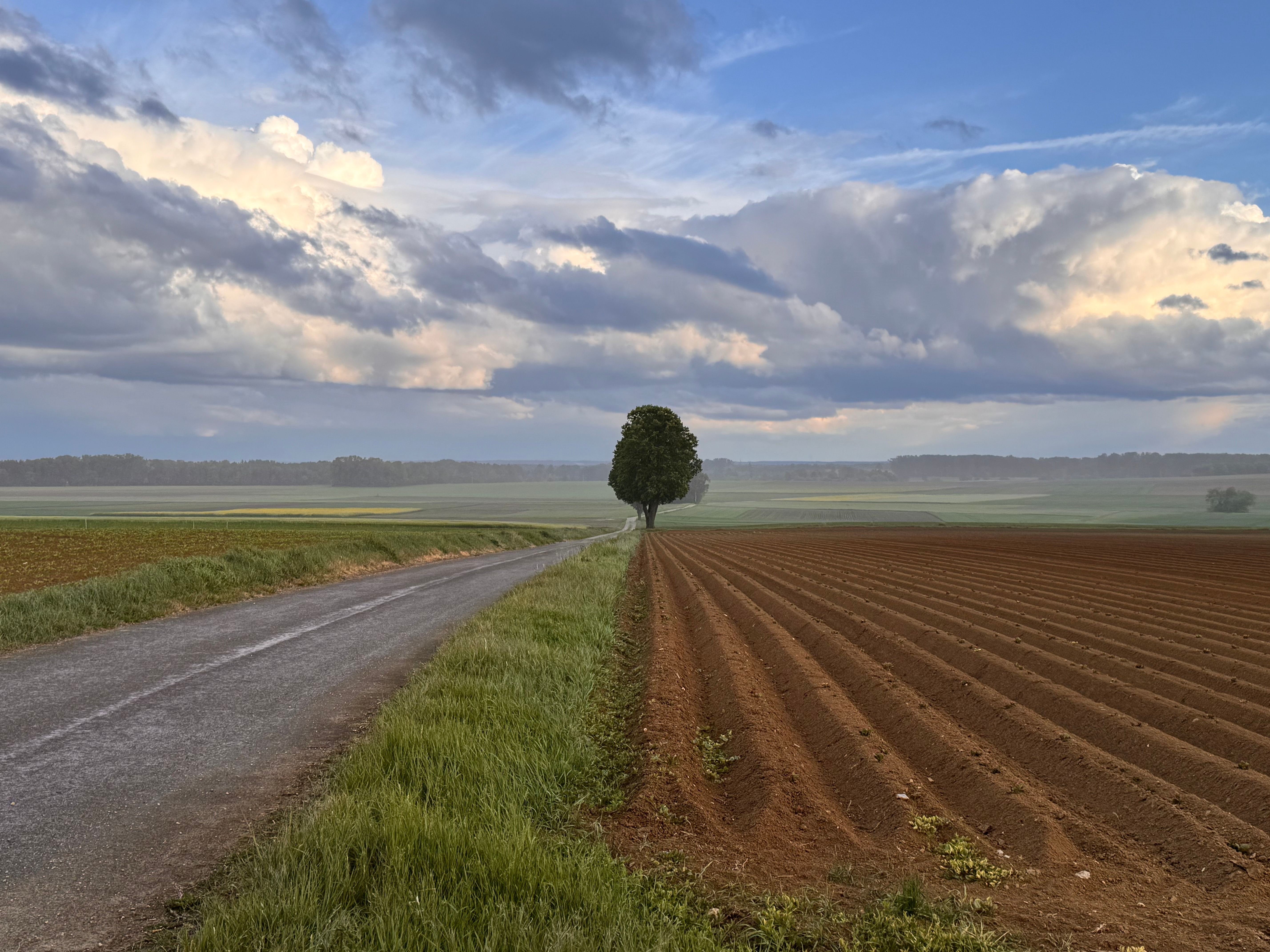 Byes and preliminary rounds: fitting an uneven field into a bracket