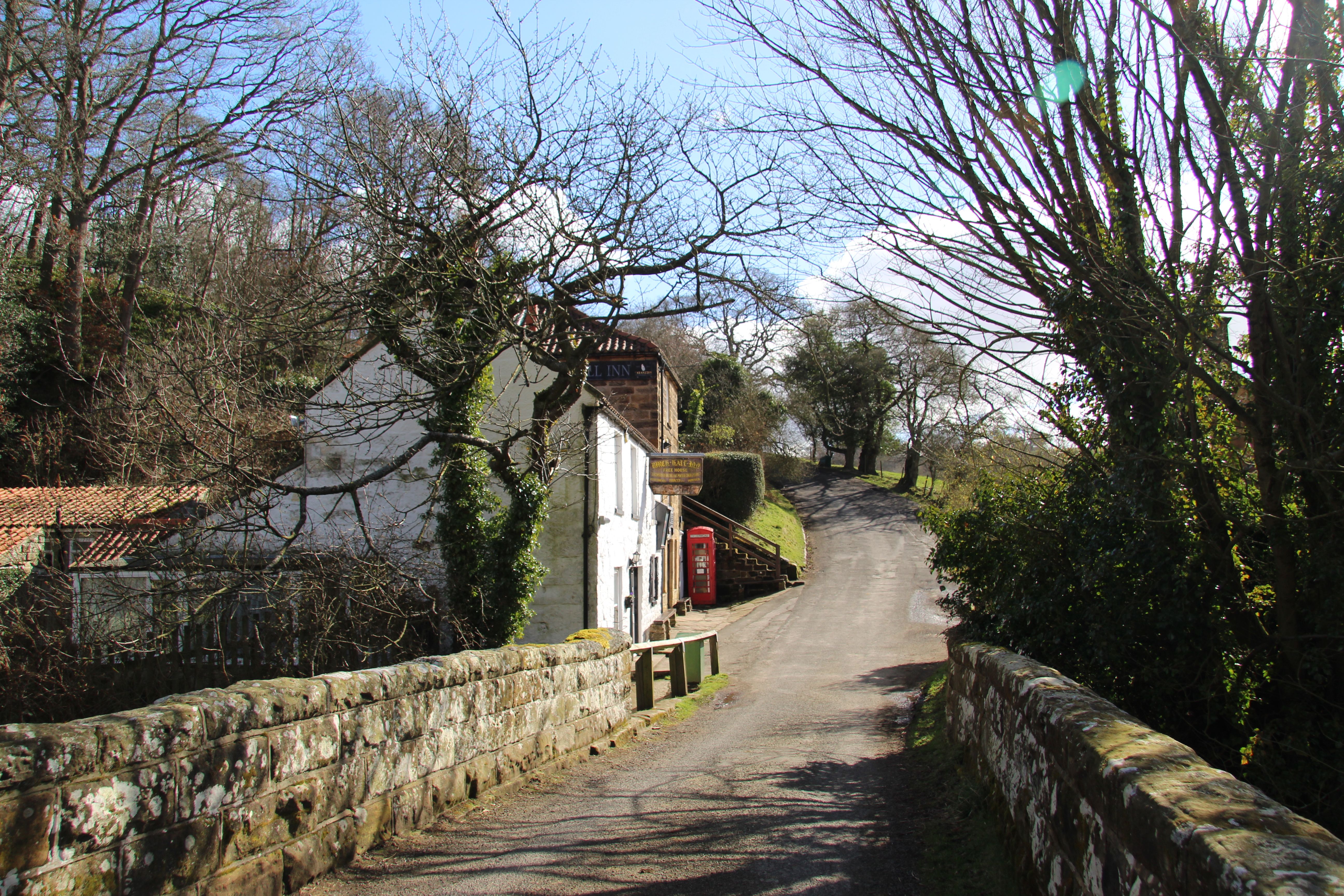Scenic countryside road with a red phone booth near rustic houses.