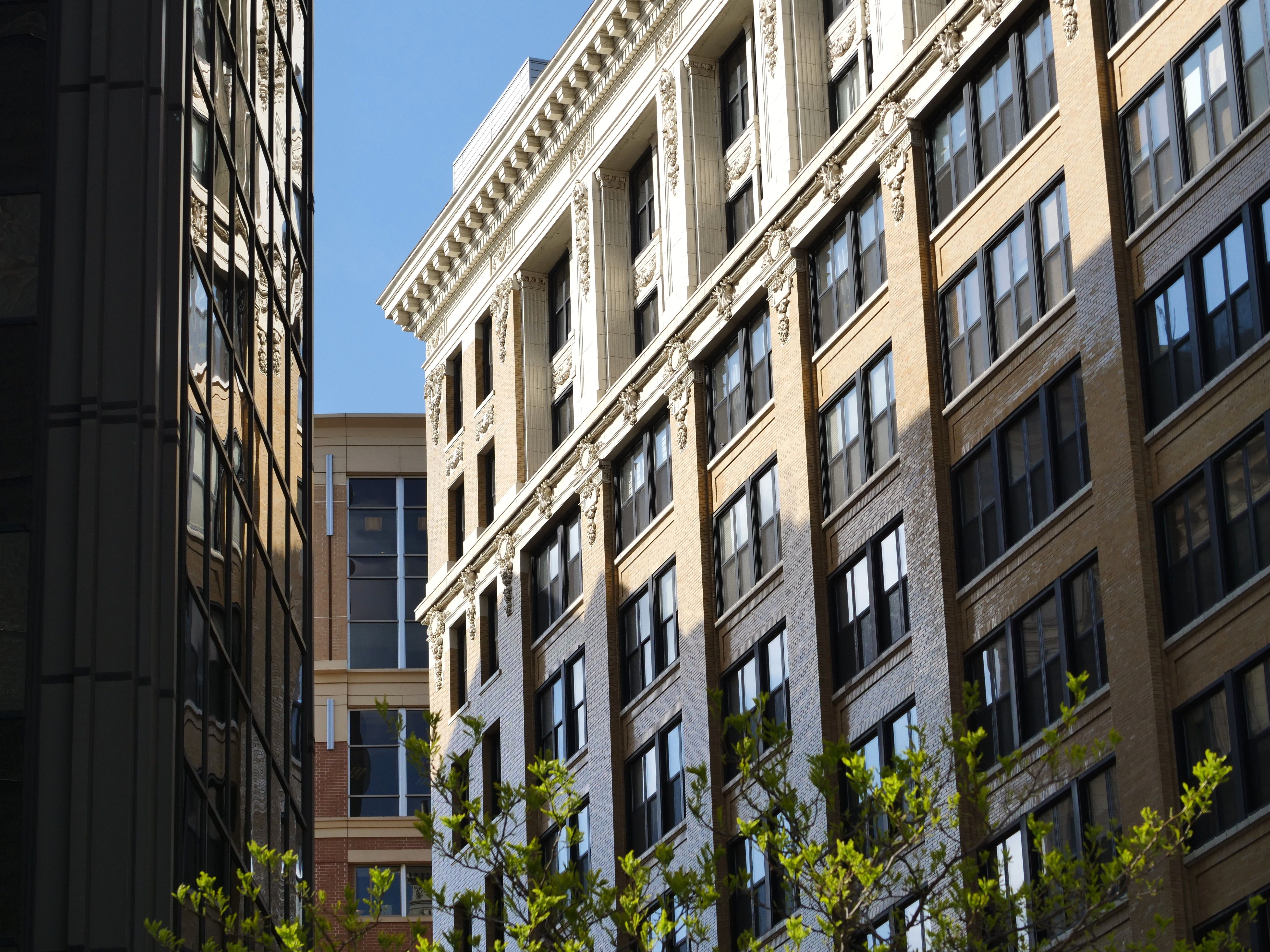 Shooks Expands Privacy &amp; Cybersecurity Group with Washington, D.C. Partner Catherine Muir — Photo by Giant Asparagus on P