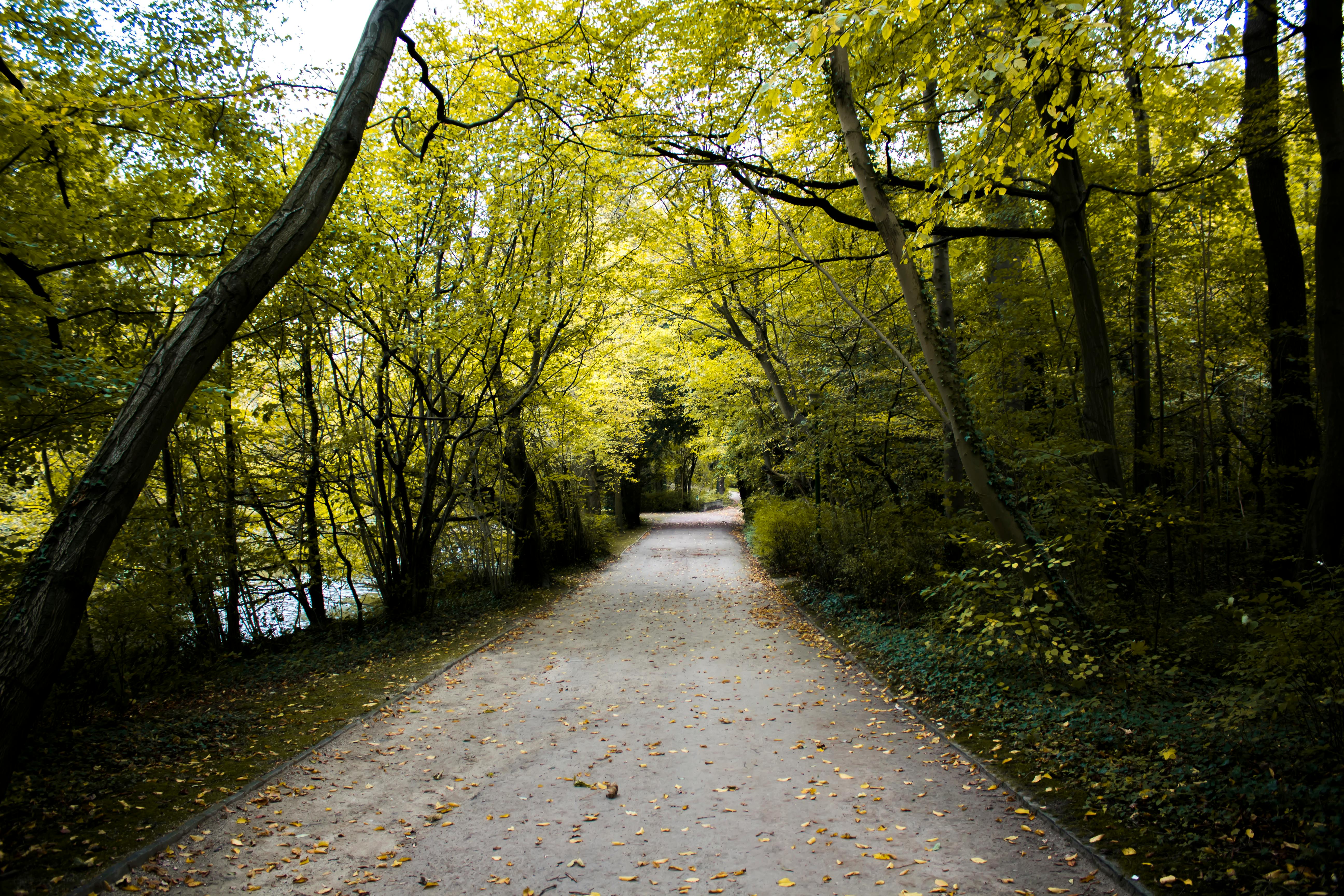 Healthspan White Paper: The Data-Driven Path to Longevity — Photo by Nicolas Veithen on Pexels