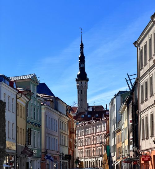 Free Charming street in Tallinn's Old Town with historic architecture and central tower under a clear blue sky. Stock Photo