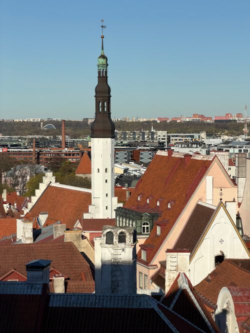 Free A picturesque view of the red rooftops and historical architecture in Tallinn's Old Town. Stock Photo