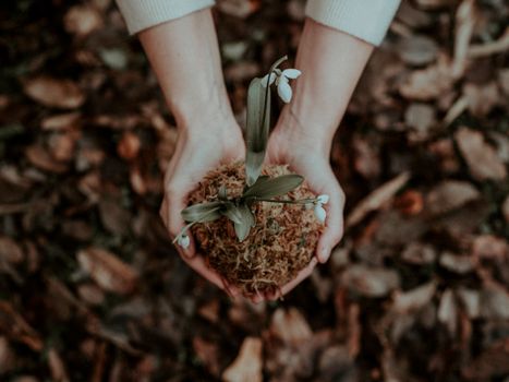 Person Holding White Flower In Her Hands