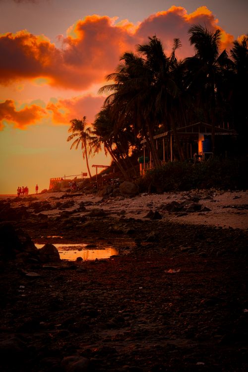 Stunning Sunset Over Tropical Beach with Palm Trees · Free Stock Photo