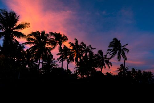 Free Stunning silhouette of palm trees against a vibrant sunset sky with pink and blue hues. Stock Photo