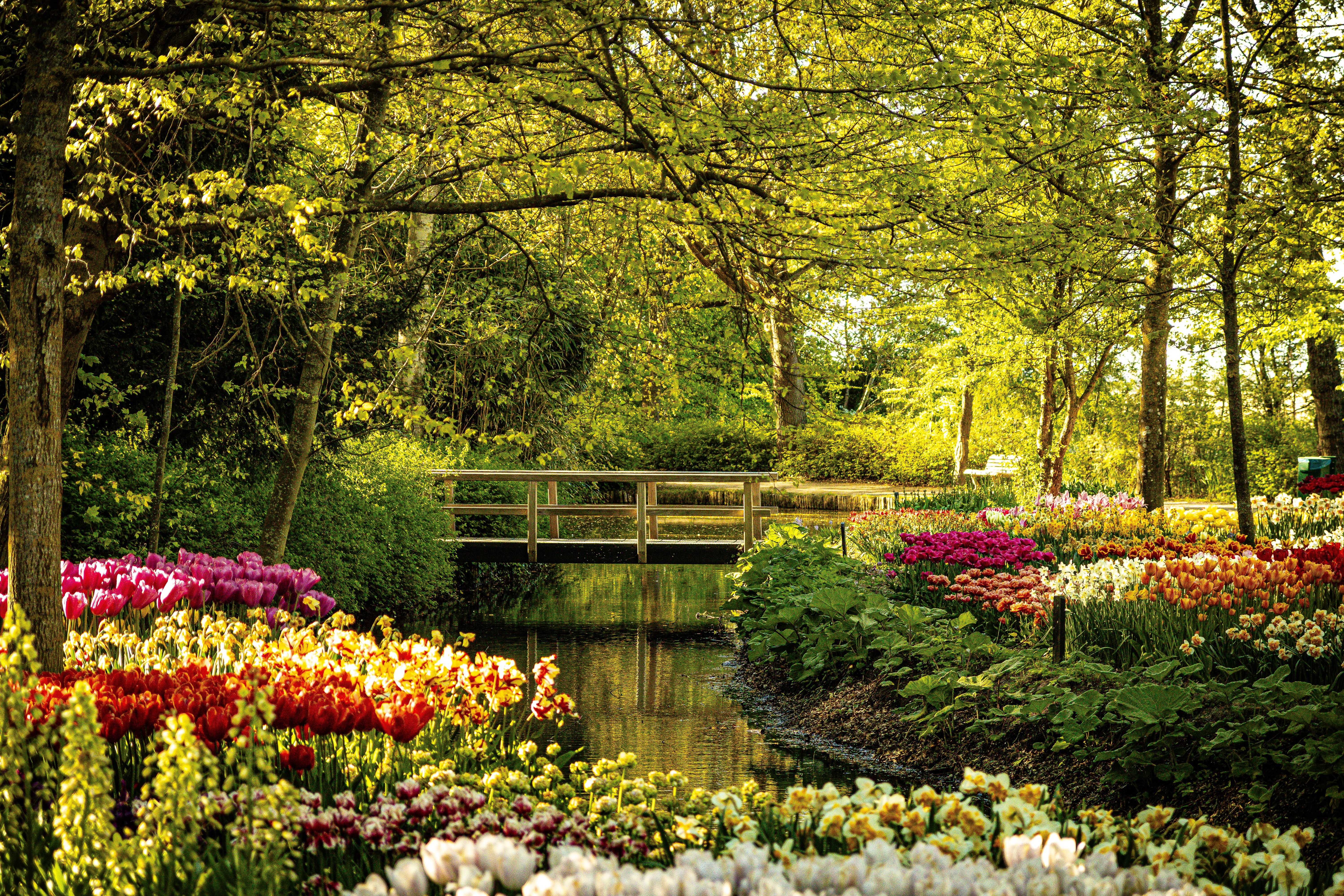 Idyllic Spring Garden with Bridge and Blossoms · Free Stock Photo