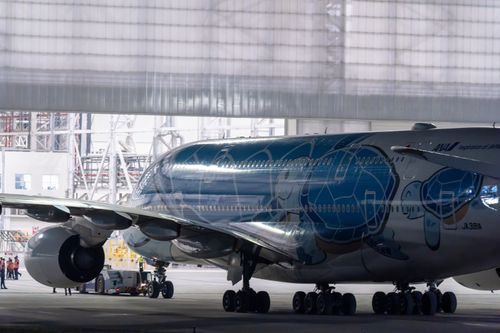 Free A large airplane with a turtle design parked inside a hangar. Stock Photo