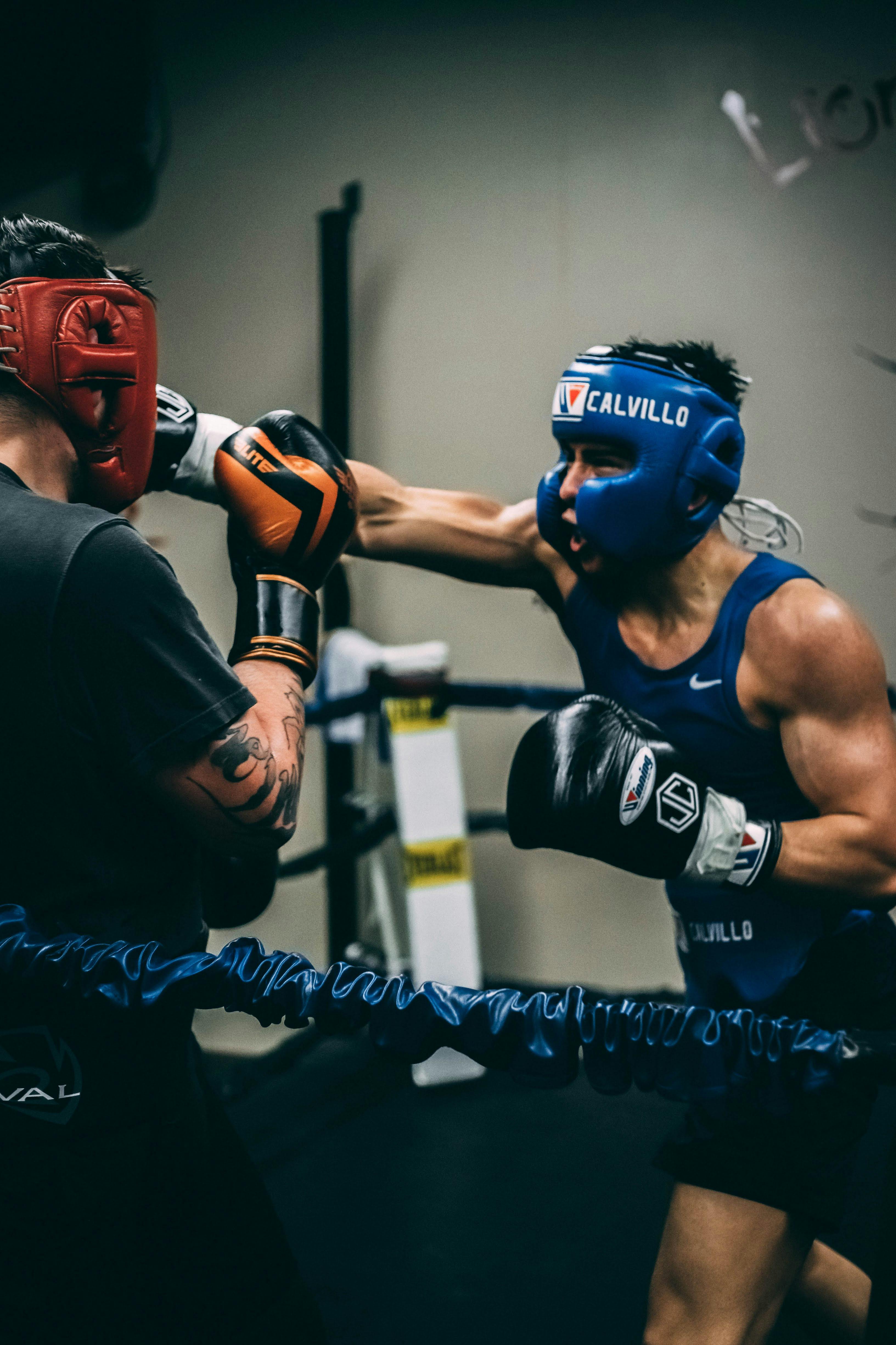 Male fighters in boxing gear training in ring \u00b7 Free Stock Photo